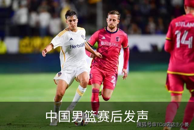 中国男篮赛后发声