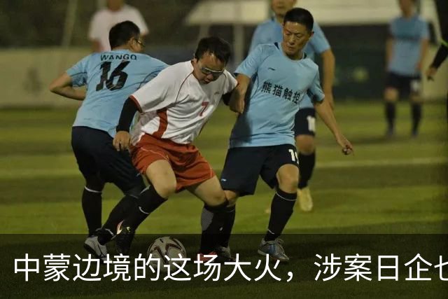 中蒙边境的这场大火，涉案日企也该向中国道歉