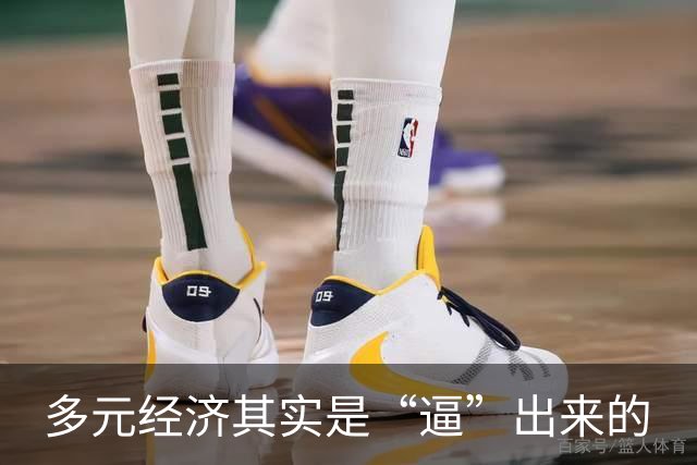 多元经济其实是“逼”出来的
