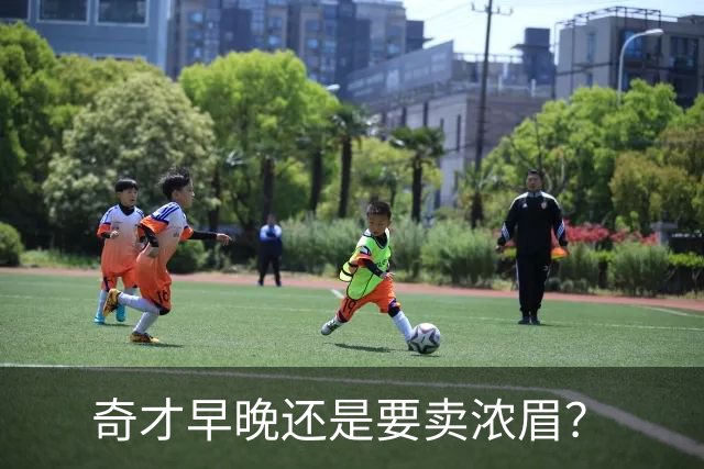 奇才早晚还是要卖浓眉？