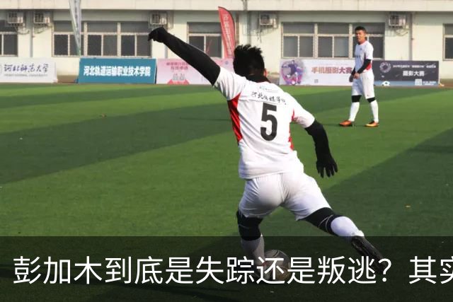 彭加木到底是失踪还是叛逃？其实这一切，早就在他的计划之内？