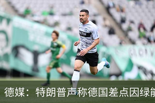 德媒：特朗普声称德国差点因绿能消亡