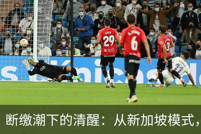 断缴潮下的清醒：从新加坡模式，看中国养老金的账本困局