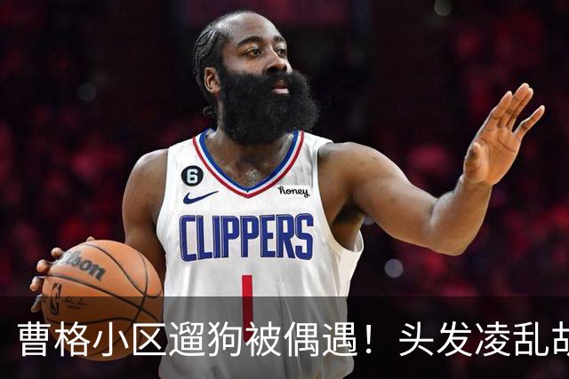 曹格小区遛狗被偶遇！头发凌乱胡子拉碴，身旁女友肚大如箩孕味十足