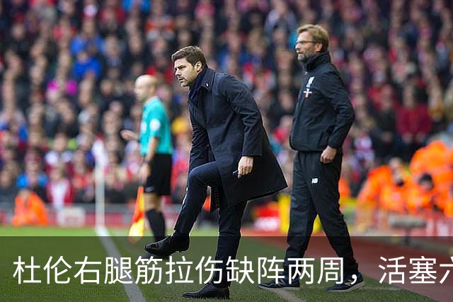 杜伦右腿筋拉伤缺阵两周，活塞六场硬仗内线告急