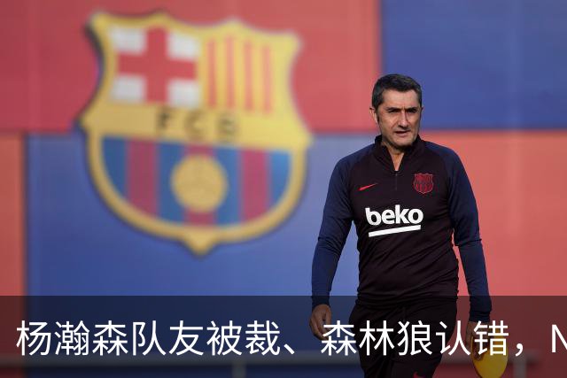 杨瀚森队友被裁、森林狼认错，NBA高个控卫实验，为什么都失败了