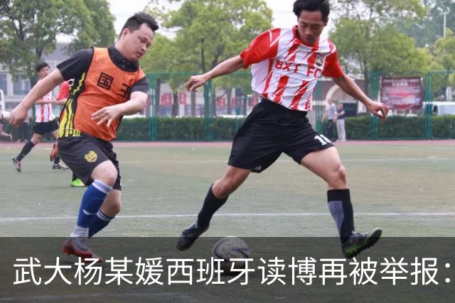 武大杨某媛西班牙读博再被举报：“赶尽杀绝”的追问，藏着比愤怒更复杂的东西