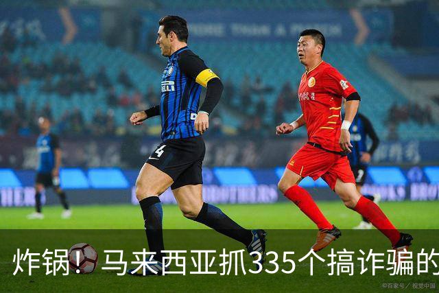 炸锅！马来西亚抓335个搞诈骗的，超九成来自中国，专骗中国人！