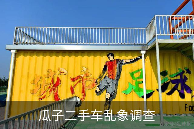 瓜子二手车乱象调查