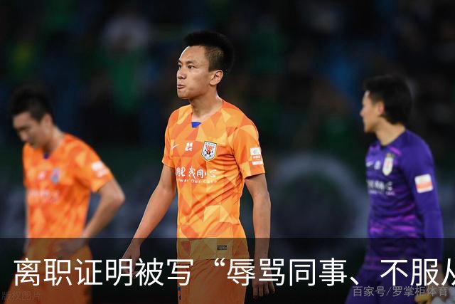 离职证明被写“辱骂同事、不服从安排”，男子多次求职被拒后起诉原公司，法院：构成名誉权侵害