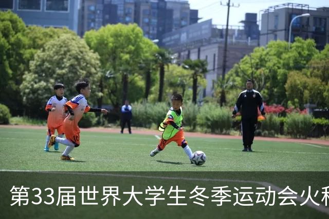 第33届世界大学生冬季运动会火种欢迎仪式在长春举行