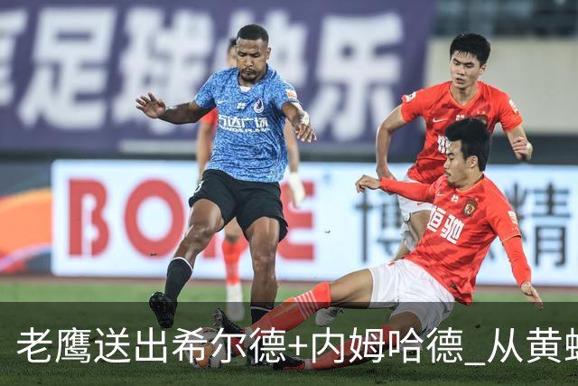 老鹰送出希尔德+内姆哈德 从黄蜂得到芬尼-史密斯