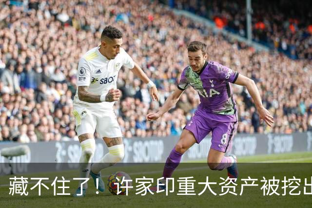 藏不住了！许家印重大资产被挖出，186.5亿转给了“重庆李嘉诚”