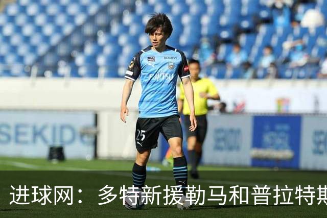 进球网：多特新援勒马和普拉特斯进展不顺，两人加盟后机会寥寥