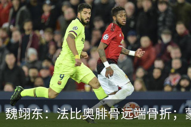 魏翊东：法比奥腓骨远端骨折；蒙哥马利合同不止一年